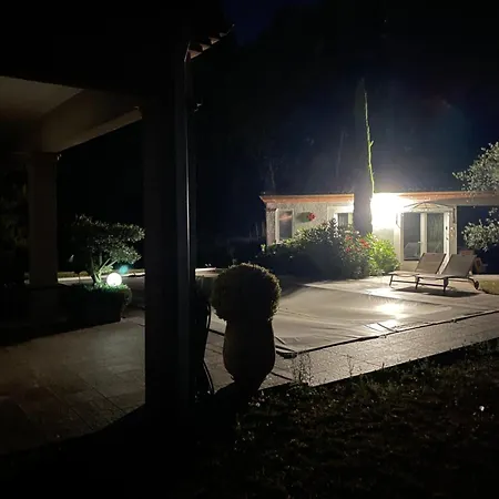 A L Ombre Des Chenes