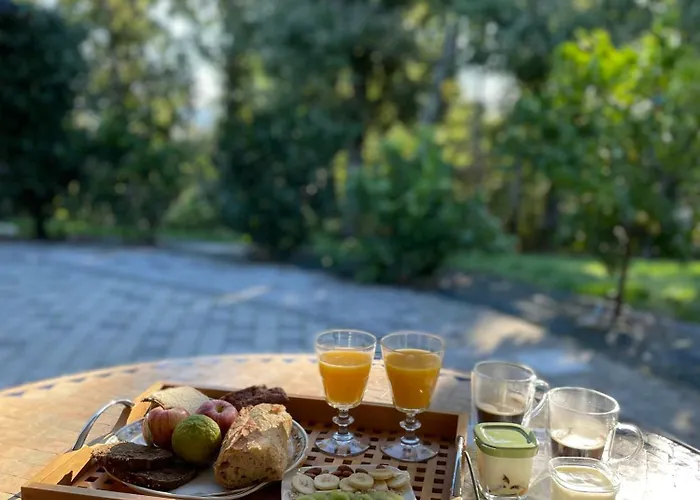 A L Ombre Des Chenes Bed & Breakfast